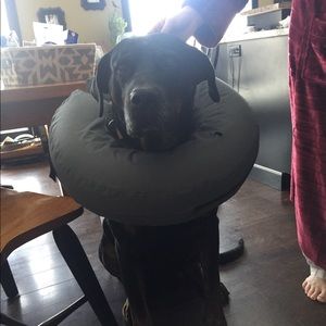 Meet your Posher, Cori